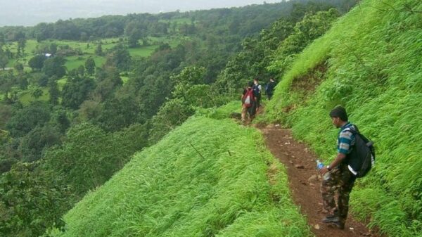 One Day Trek to Tikona Fort @ 875 Only