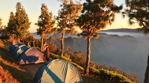 Camping with Trekking and Meals, Kurangani Hills