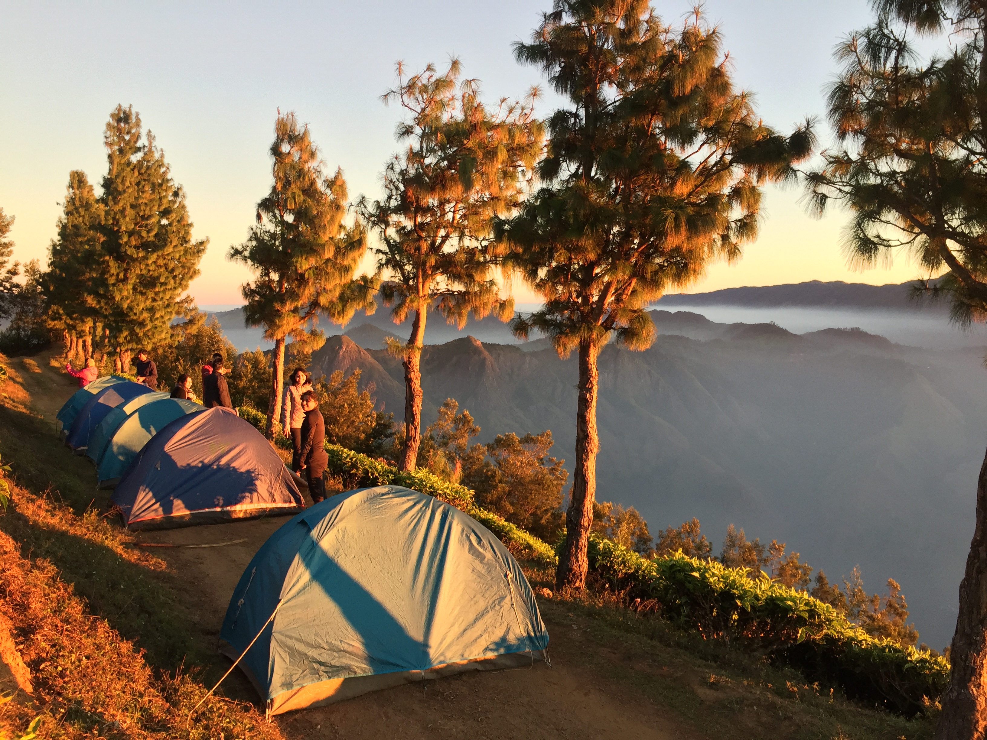 Camping with Trekking and Meals, Kurangani Hills