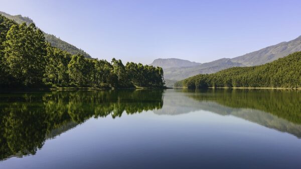 Echo Point, Munnar