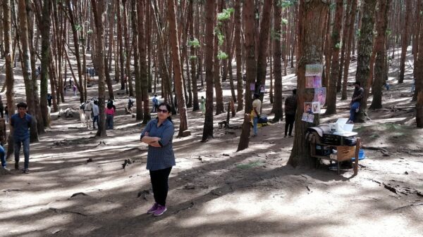 Forest Tour in Kodaikanal