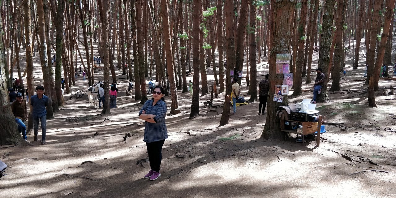 Forest Tour in Kodaikanal