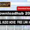 Downloadhub